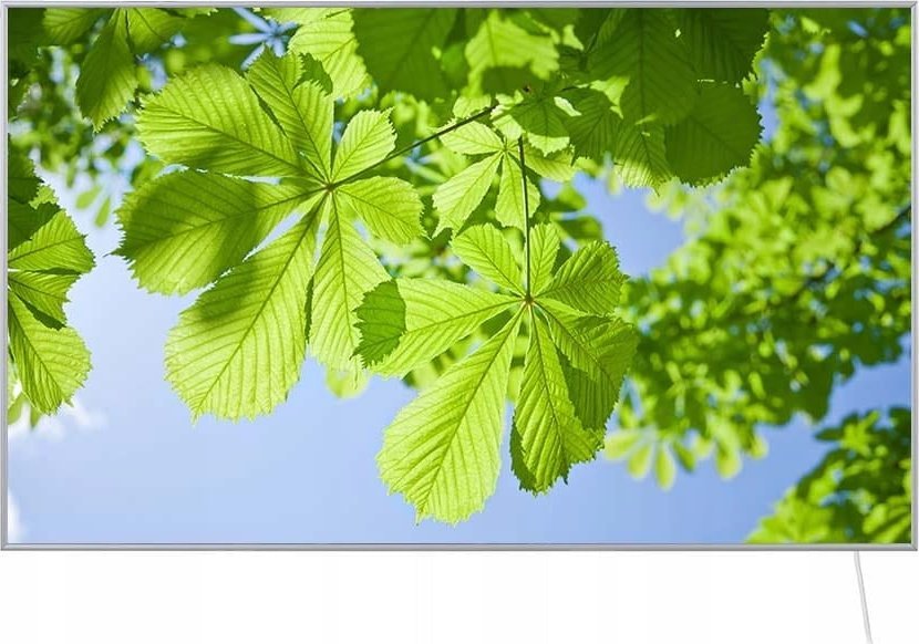 Grzejnik Grzejnik na podczerwień 600W z pilotem, wbudowany termostat