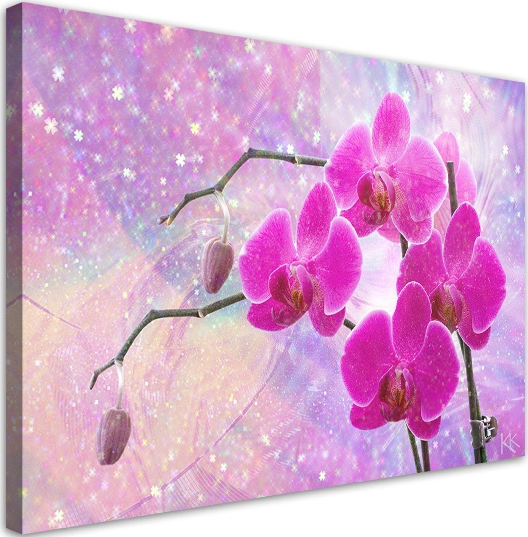 Feeby Obraz na płótnie, Eteryczna orchidea abstrakcja - 120x80