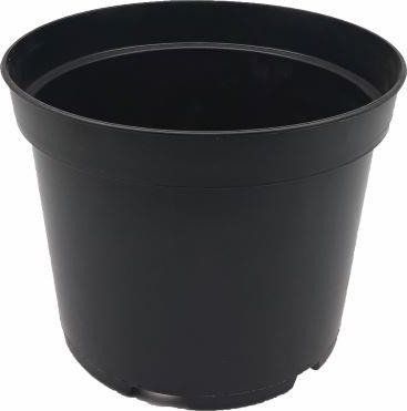 Tajemniczy ogród Doniczka produkcj. czarna 23 cm uniwersalny