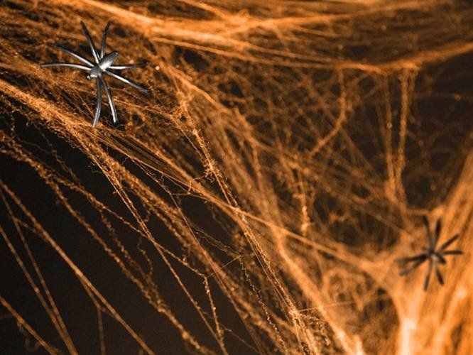 Party Deco Sieć pajęcza pomarańczowa z 2 pająkami - Pajęczyna Halloween - 60 g. p uniwersalny