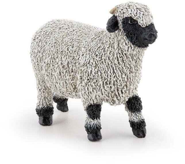 Owca walliserska czarnonosa