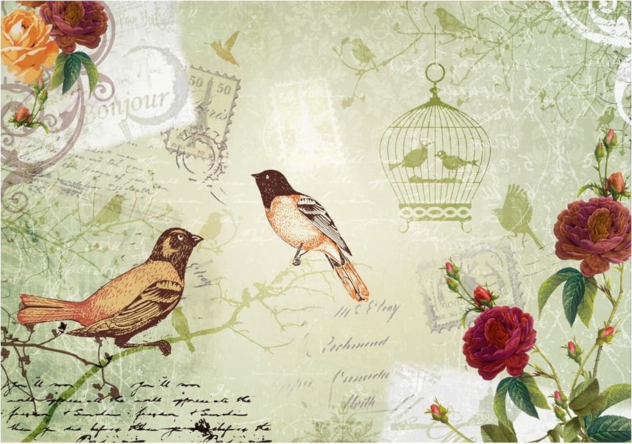 DecoNest Fototapeta - Vintage birds - 150X105