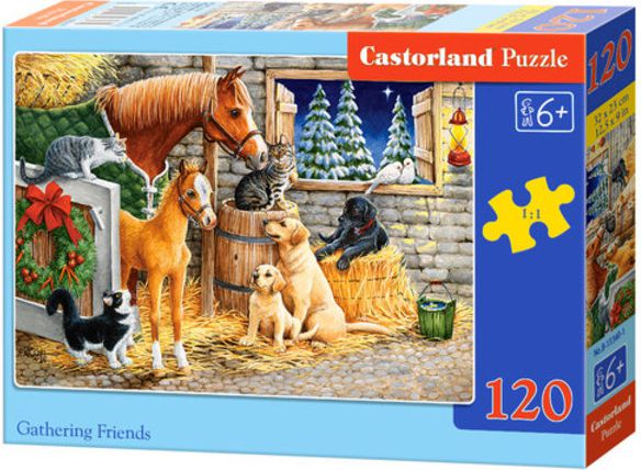 Castorland Puzzle Gathering Friends 120 elementów (241110)