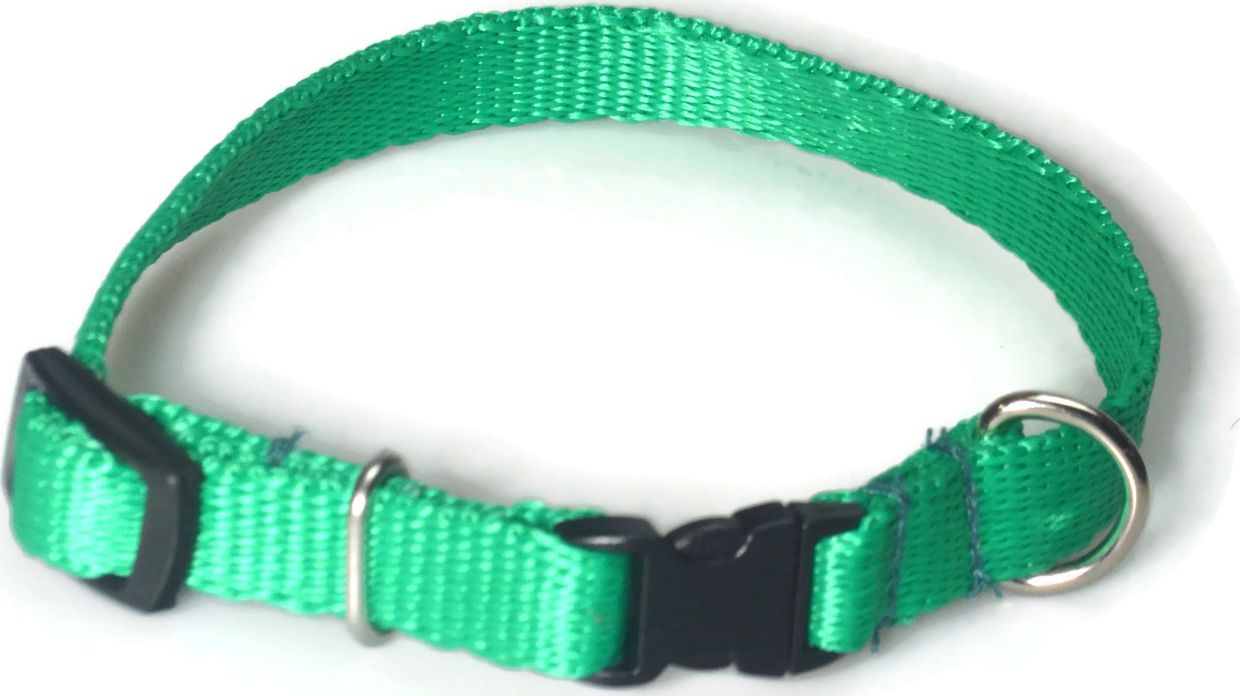 Alizoo Obroża dla małego psa 13mm/21-36cm - ALIZOO