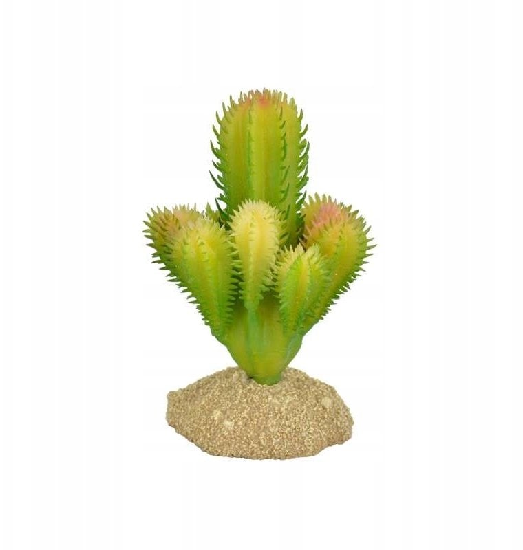 Terra Natura Dekoracja do terrarium kaktus na podstawce 7cm