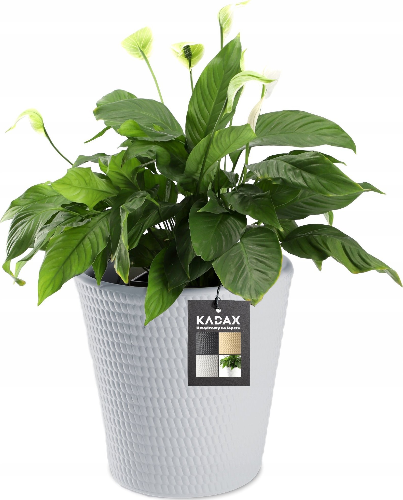 Kadax Donica Doniczka Kwietnik Osłonka Szara 40 cm