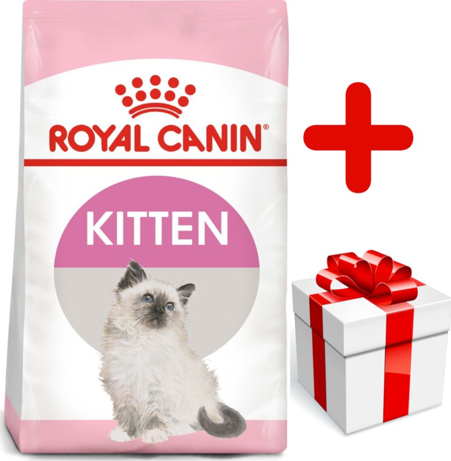 Royal Canin ROYAL CANIN Kitten 10kg karma sucha dla kociąt od 4 do 12 miesiąca życia + niespodzianka dla kota GRATIS!
