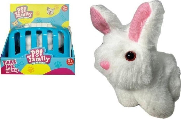 Królik w transporterze