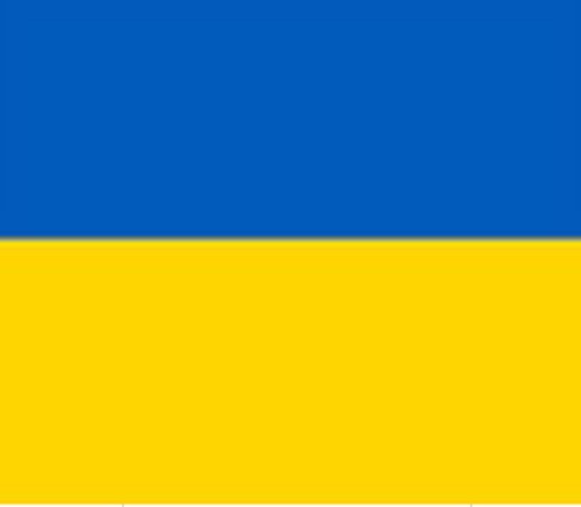 MAGNETIC STICKER UKR FLAG