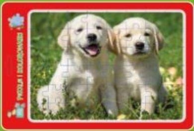 Teka Puzzle w ramce z kolorowank±. Szczeniaczki