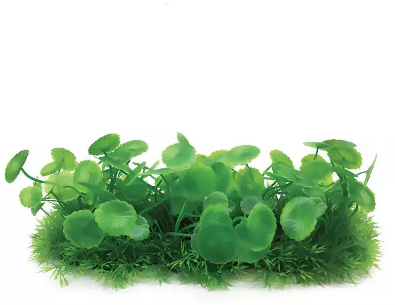 Aqua Natura, roślina, do dekoracji akwarium, zielona, plastikowa, 10 cm , doniczka korytkowa, duże płaskie liście
