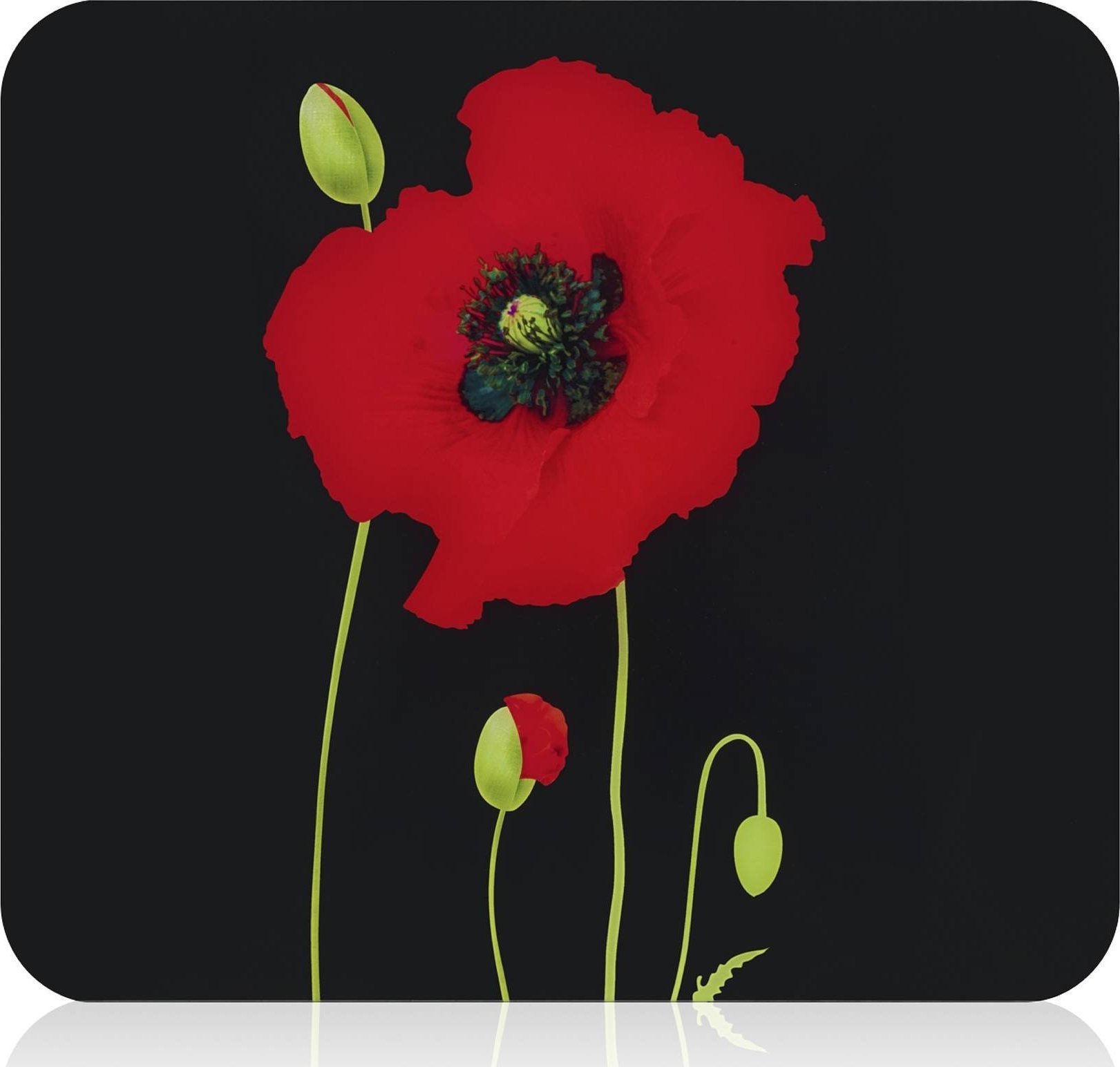 Szklana płyta kuchenna, 56 x 50 cm, POPPY, Maximex