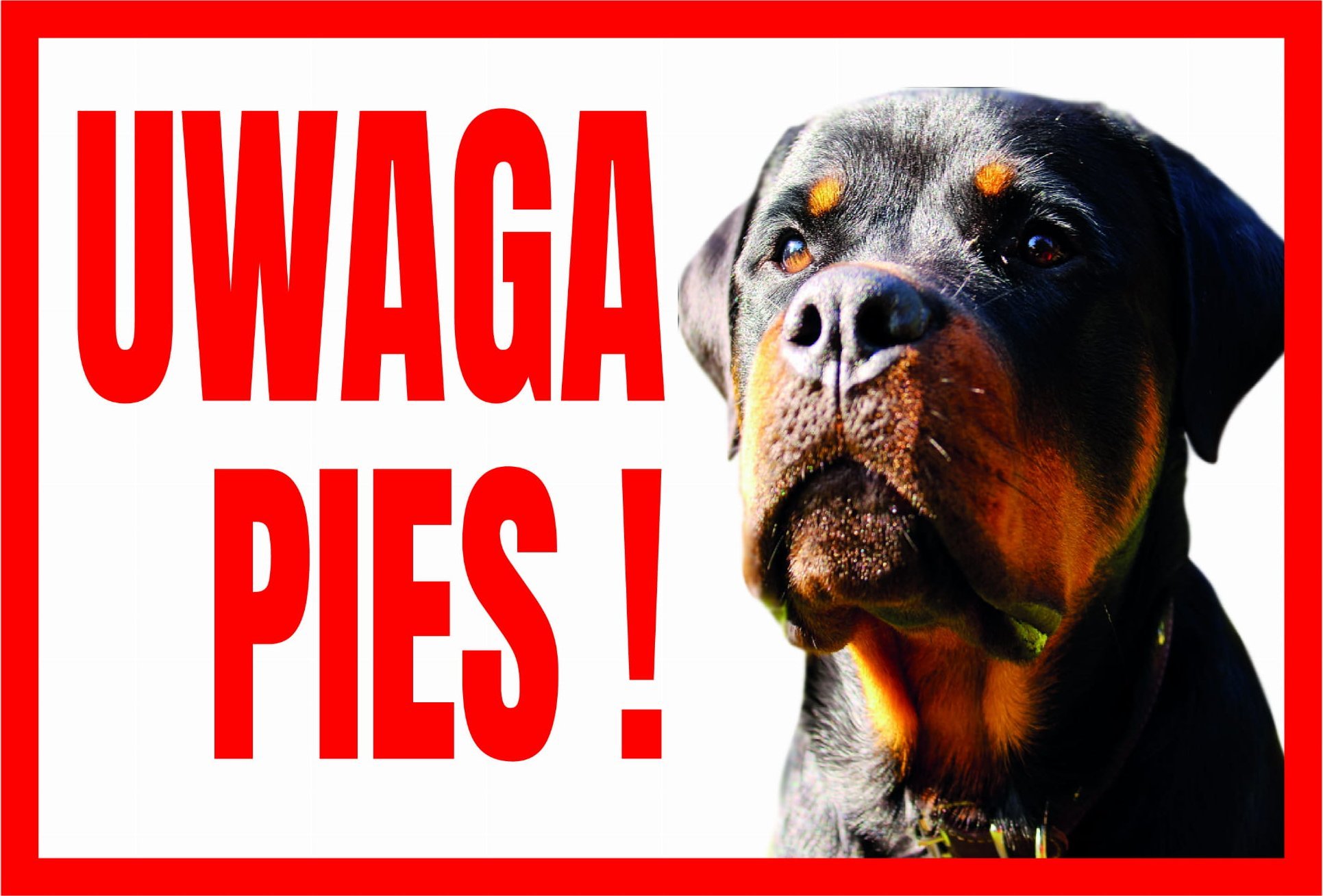 Dingo Tup-9 Tabliczka Ostrzegawcza Uwaga Pies Rottweiler Libres Polska Sp Tup-9 5902082237495