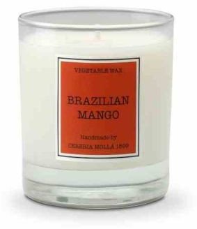 Świeca Santiago 230gr. Brazilian mango / Cereria Molla