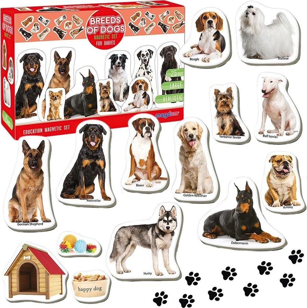 Magnesy rasy psów 25szt