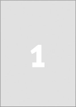 Avery Zweckform ETYK.ZF L6013 210X297 SREBRN.20 ETYKIETA - L6013-20