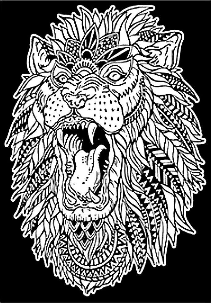 Kolorowanka Welwetowa 29,7x21 Ryk Lwa