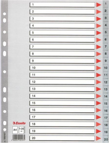 Esselte Przekładki do segregatora A4 PP szare (10K154D)