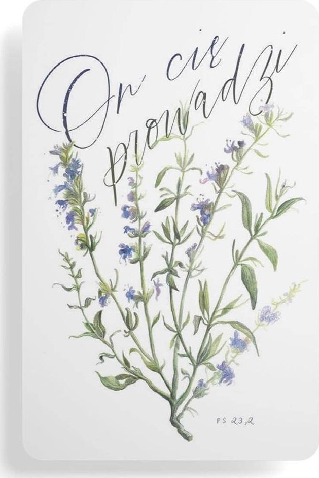 Magnes na lodówkę - On cię prowadzi