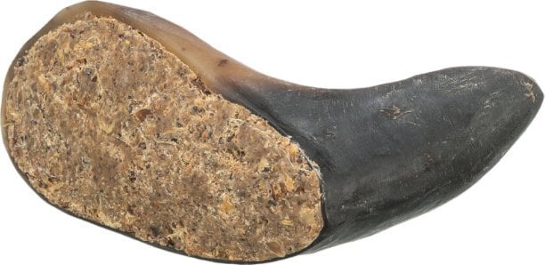 Róg bawoli, nadziewany, przysmak, dla psa, 10-14 cm