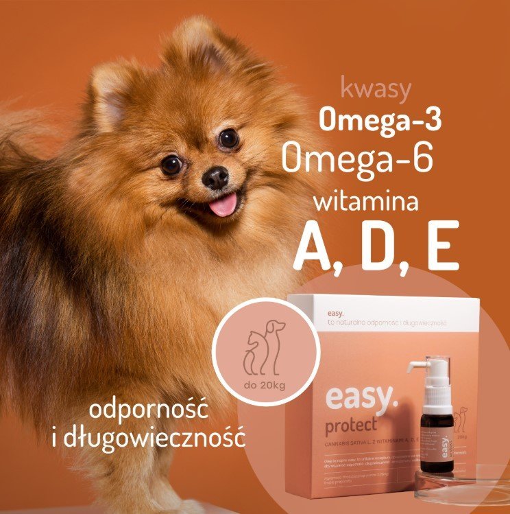 Easy. Olej konopny dla psów i kotów Protect powyżej 20kg