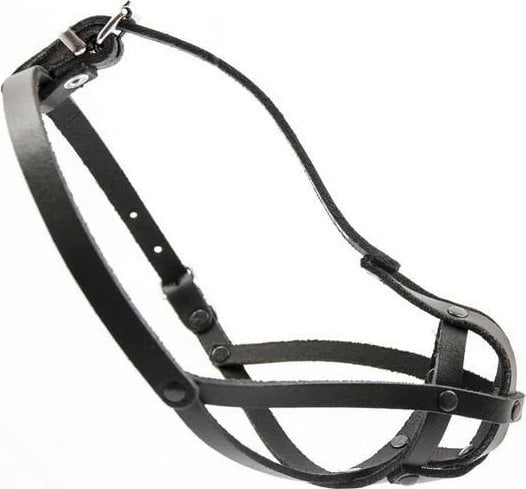 Dino DINO KAGANIEC SKORA 1 NITOWANY PEKINCZYK/MALTANCZYK 60001