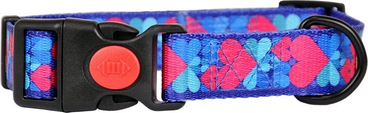 Dino DINO OBROŻA TAŚMA IVO 20mm/35-60cm SERCA