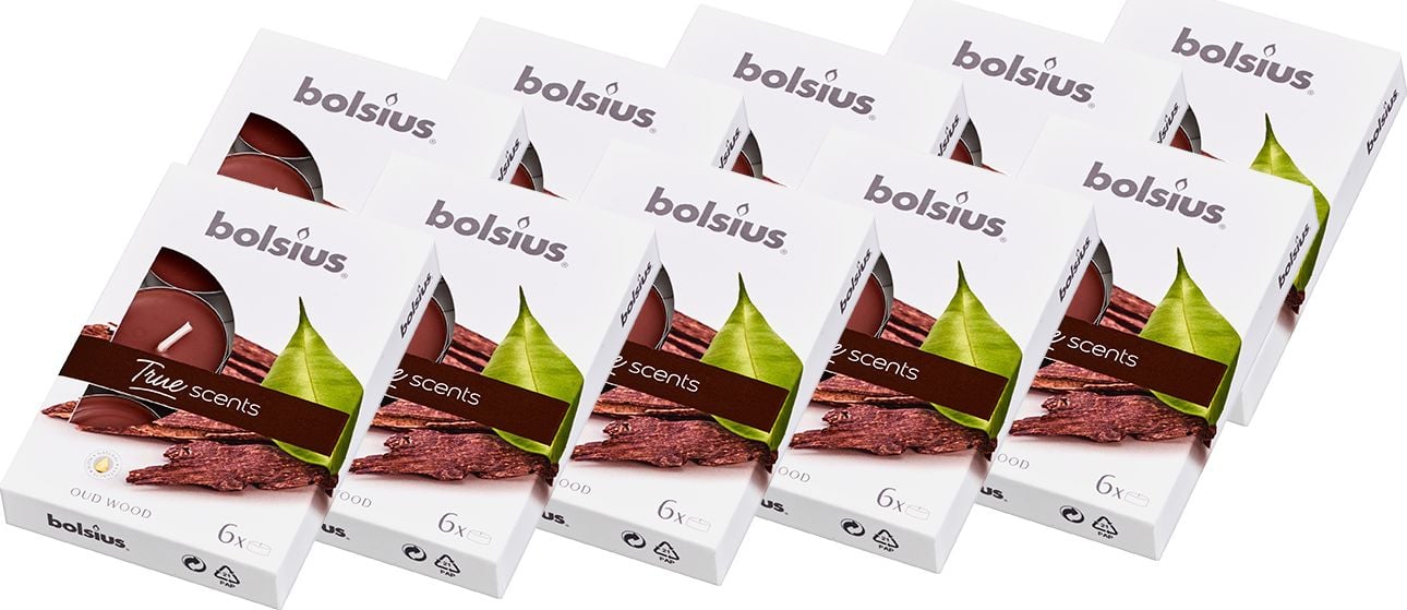 Bolsius Podgrzewacze zapachowe BOLSIUS True Scents 4H 60szt. DRZEWO AGAROWE