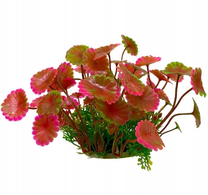 Terra Natura Aqua Natura, roślina do dekoracji akwarium, czerwona, plastikowa, 12 cm, liście parasolowate