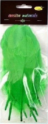 Piórka twarde jasnozielone 10szt