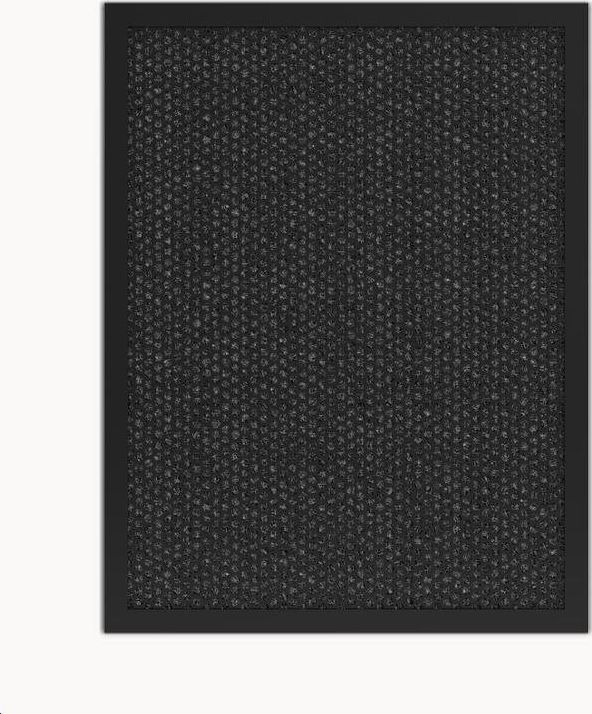 Tesla Smart Air Purifier Pro L Carbon Filter
