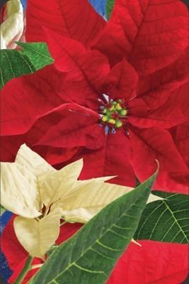 Worth Keeping Minikartka 3D - Gwiazda Betlejemska (180179)