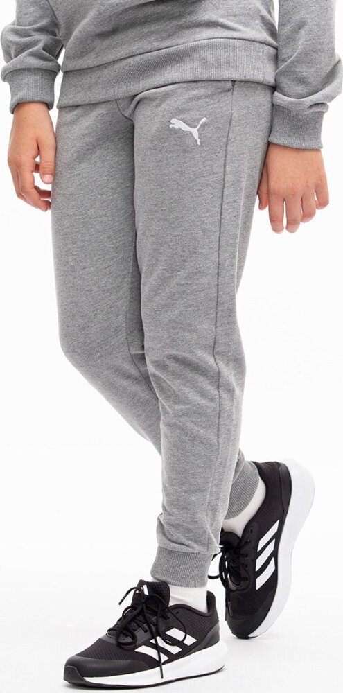 Puma Spodnie dla dzieci Puma Team Goal szare 658601 33 140cm