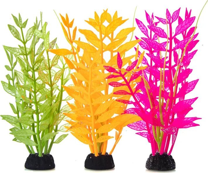 Nobleza Odblaskowe rośliny wodne Odblaskowe rośliny wodne