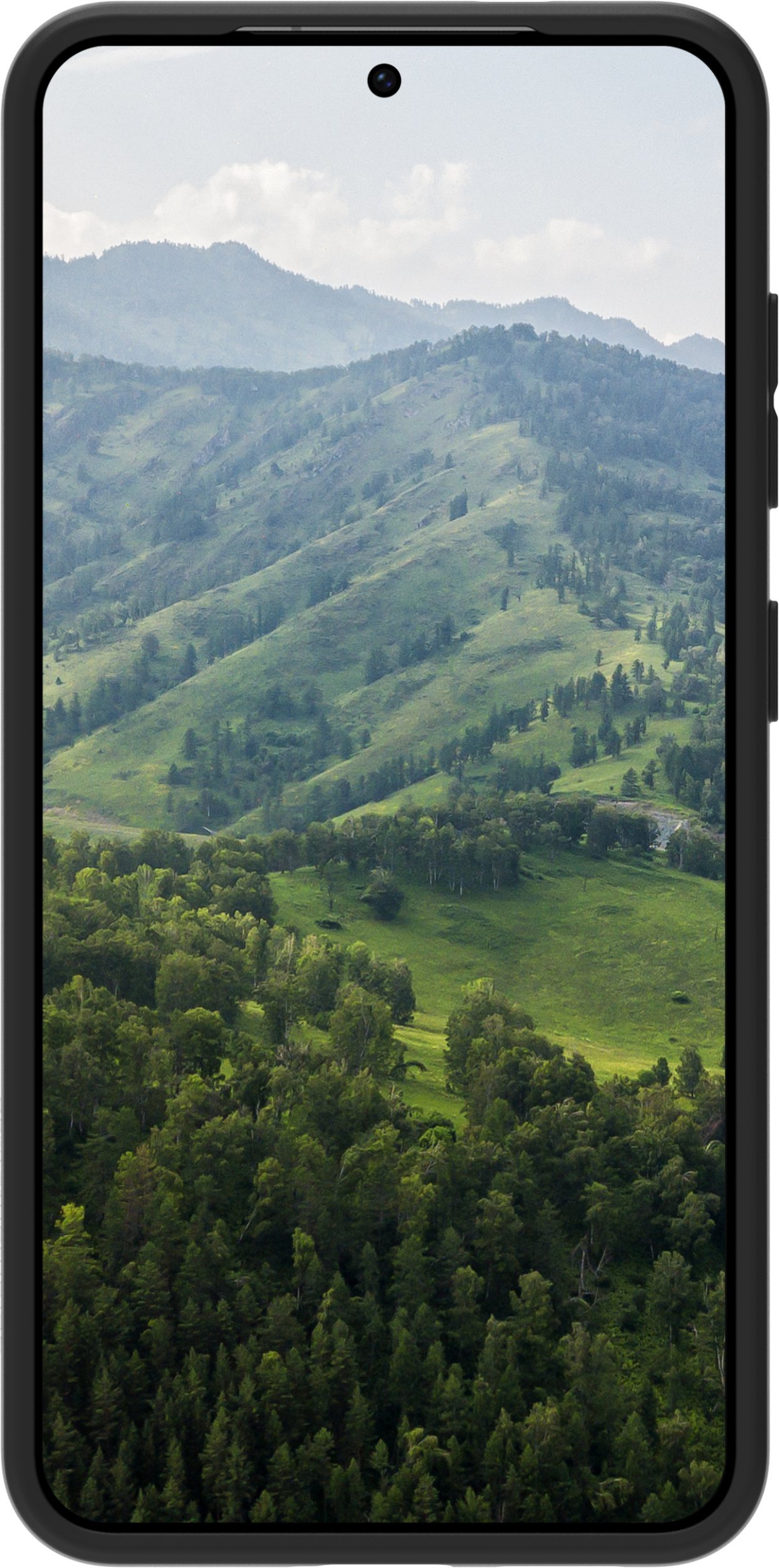 Dbramante1928 Greenland protective case, Galaxy S25, black