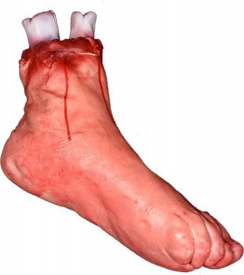 Korbi SZTUCZNA STOPA NOGA Z KOŚCIĄ HALLOWEEN UCIĘTA