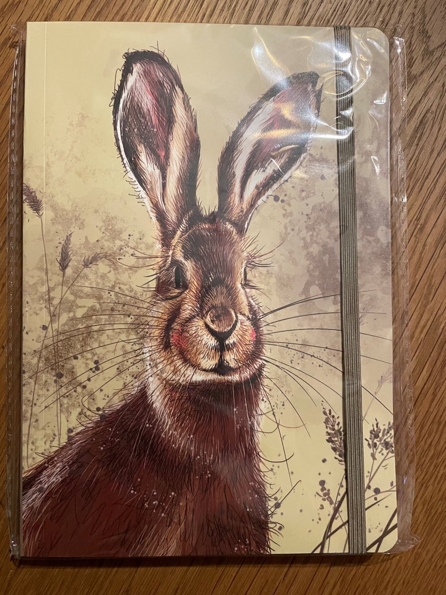 Notatnik z gumką A5 LCN36 Zając