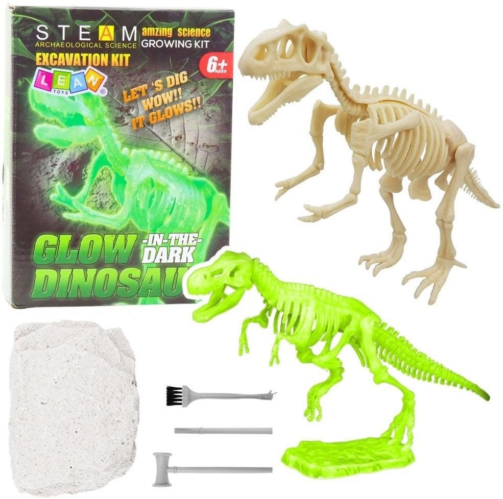 Wykopaliska fluorescencyjne szkielet i narzędzia