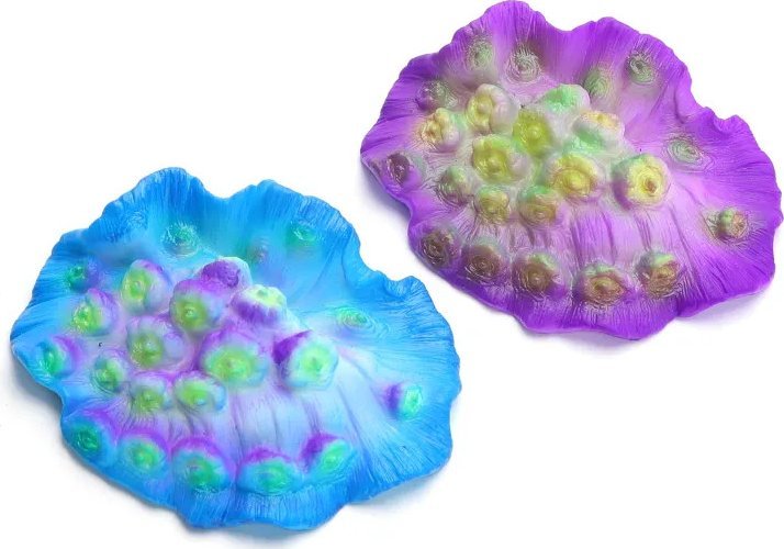 Nobleza Odblaskowy koral do akwarium Odblaskowy koral