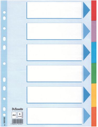 Esselte Przekładki do segregatora A4 z kartą opisową kartonowe (10K061DZ)