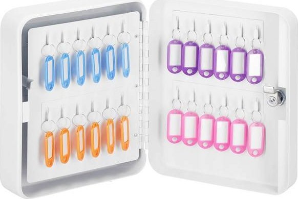 Springos Skrzynka na klucze z 48 zawieszkami, metalowy sejf, kasetka biała UNIWERSALNY