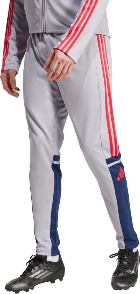 Spodnie męskie adidas Squadra 25 Training szare JP3372 XL