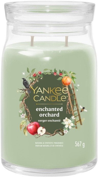 Yankee Candle Signature Enchanted Orchard Swieca Duza 567g