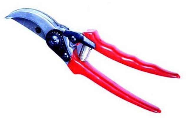 Sekator Vorel 99230 nożycowy