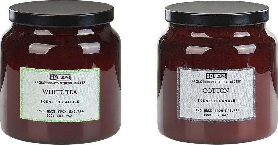 Beliani 2 świece zapachowe sojowe biała herbata/ bawełna ABSOLUTE ALCHEMY