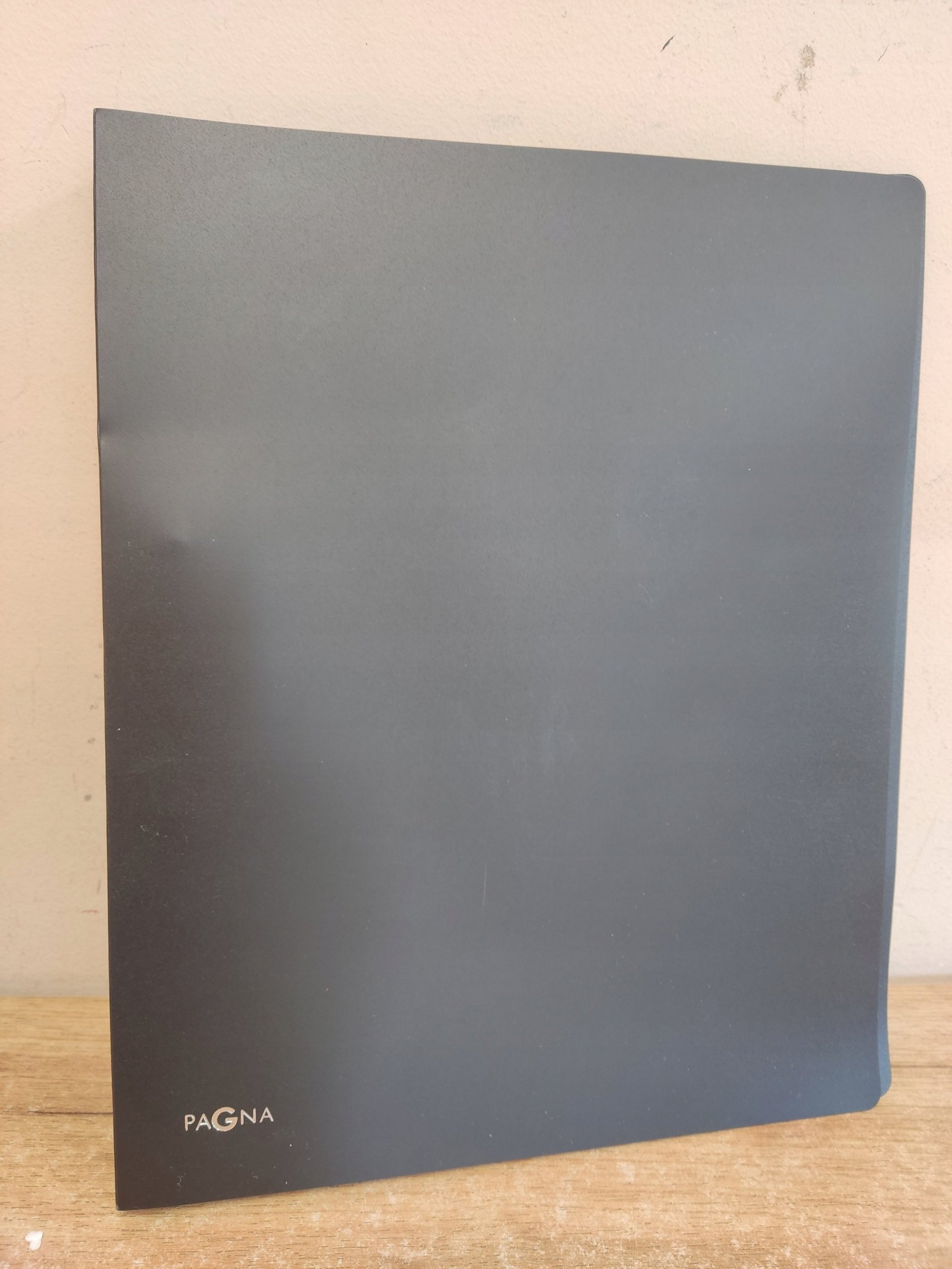 Segregator Pagna Pagna 20900-01 segregator Czarny