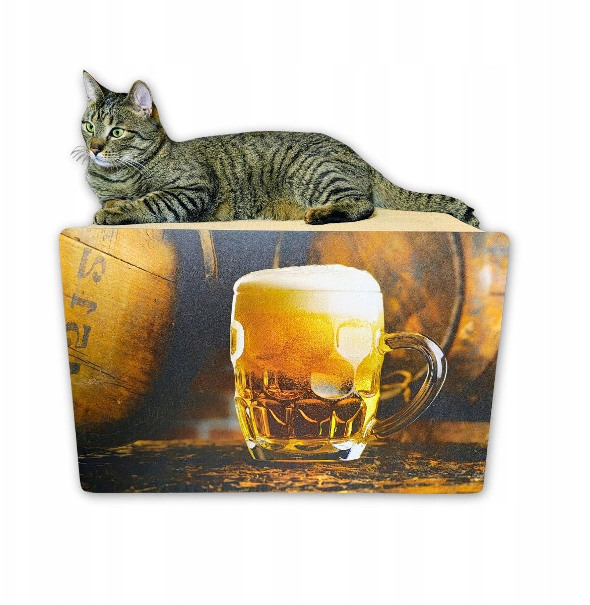 DRAPAK DLA KOTA KARTONOWY PIWO WIELKI PROSTOKĄT 59x39x27 cm Mruu&Pruu