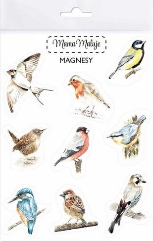 Mama Maluje Magnesy Ptaki