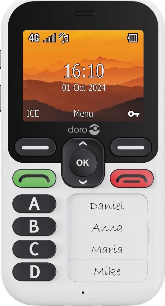 Telefon komórkowy Doro Leva X10