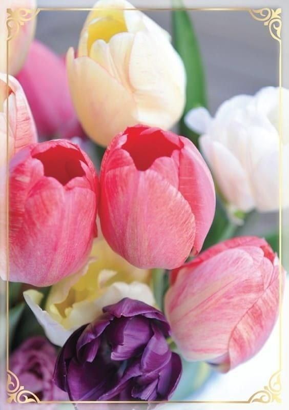 KUKARTKA Karnet B6 PP-2141 Kwiaty (bez tekstu)